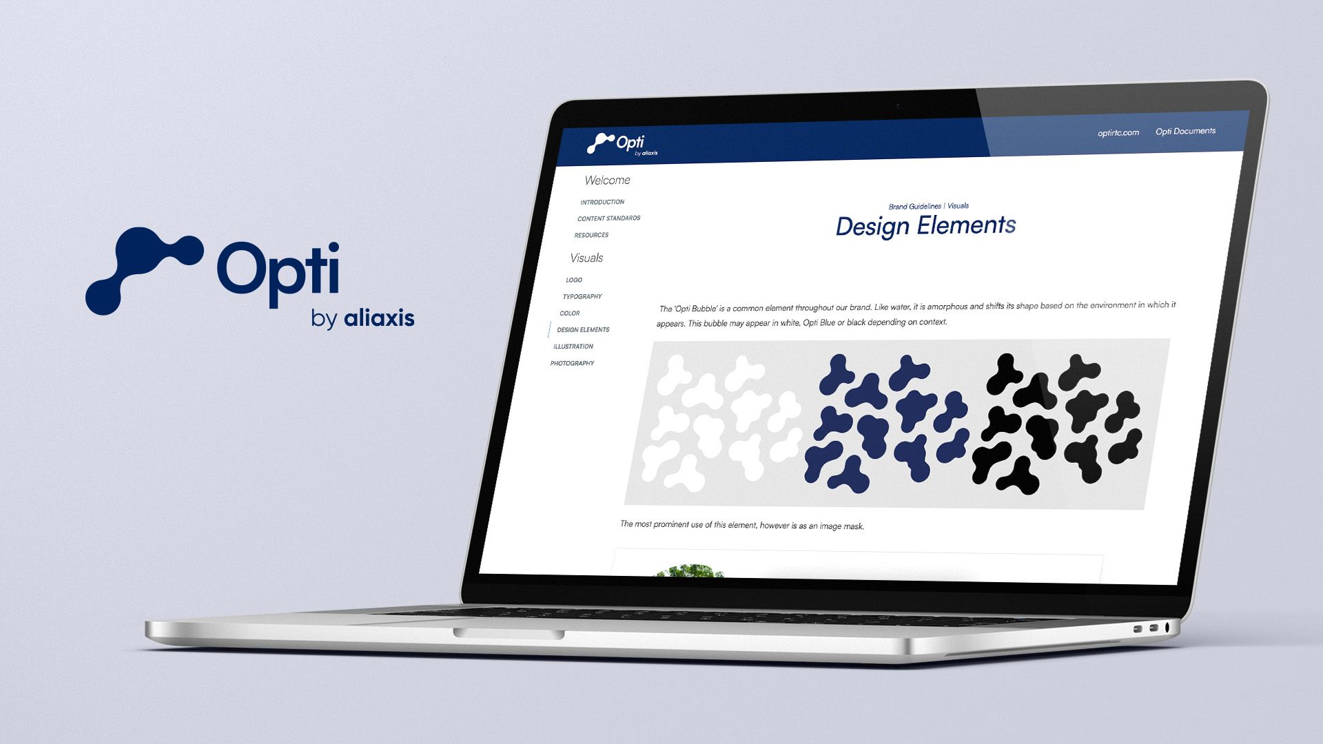 Brand Guide Development & Design Support